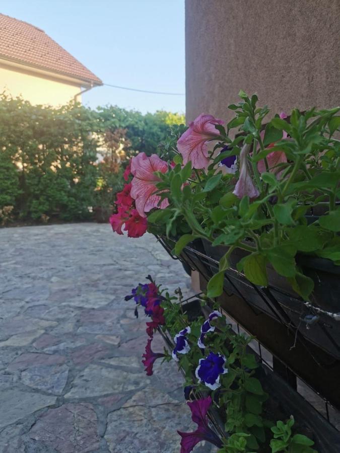 House Leyla Hotel Bihac Bagian luar foto